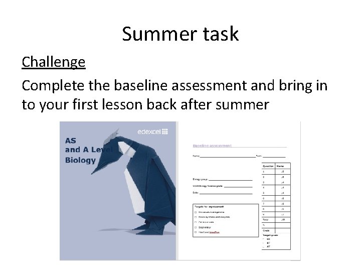 Summer task Challenge Complete the baseline assessment and bring in to your first lesson