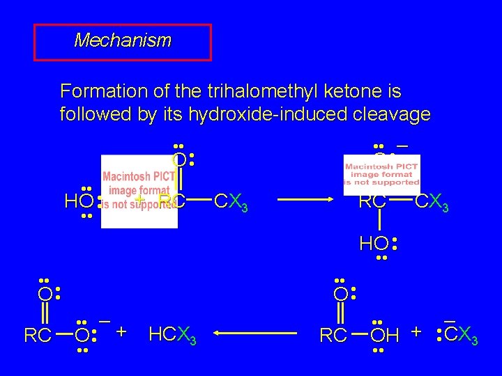 Mechanism Formation of the trihalomethyl ketone is followed by its hydroxide-induced cleavage • •