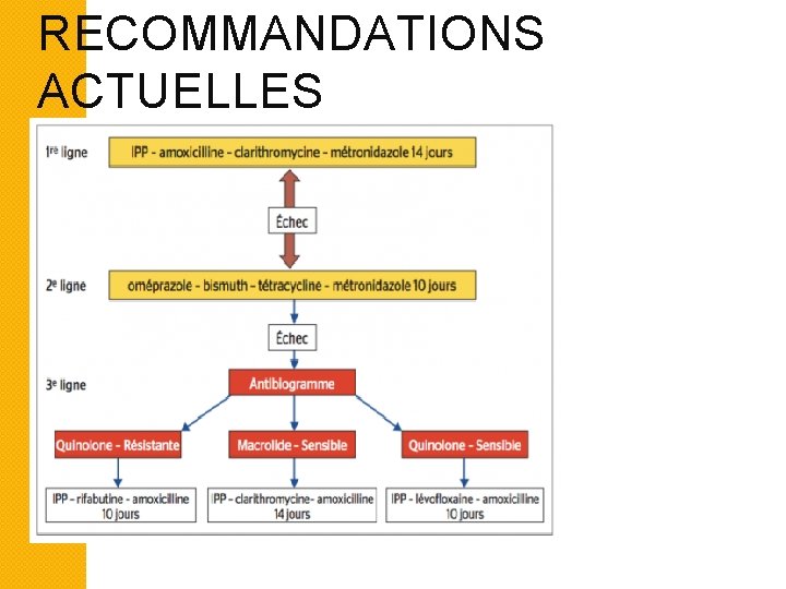 RECOMMANDATIONS ACTUELLES 