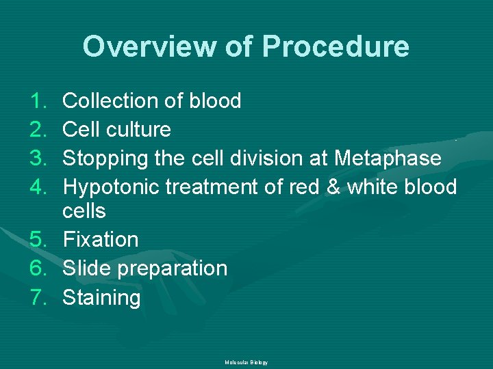 Overview of Procedure 1. 2. 3. 4. 5. 6. 7. Collection of blood Cell
