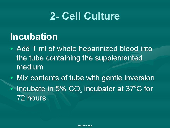 2 - Cell Culture Incubation • Add 1 ml of whole heparinized blood into
