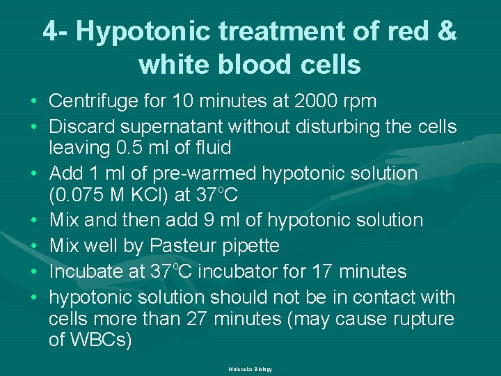 4 - Hypotonic treatment of red & white blood cells • Centrifuge for 10