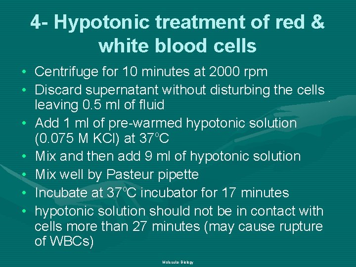 4 - Hypotonic treatment of red & white blood cells • Centrifuge for 10