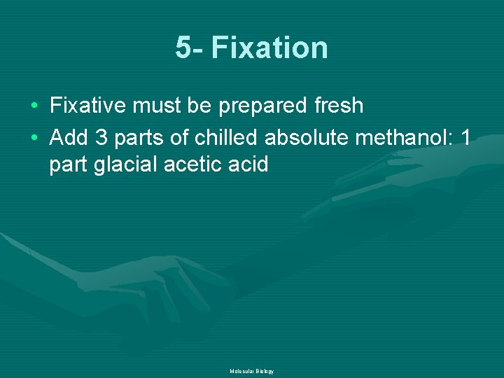 5 - Fixation • Fixative must be prepared fresh • Add 3 parts of