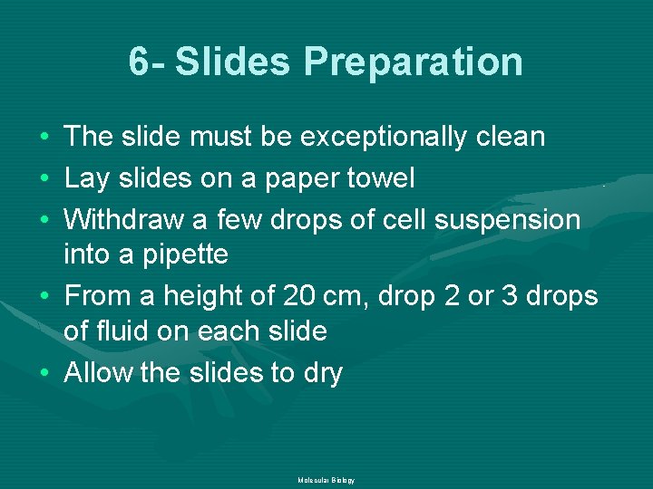 6 - Slides Preparation • • • The slide must be exceptionally clean Lay