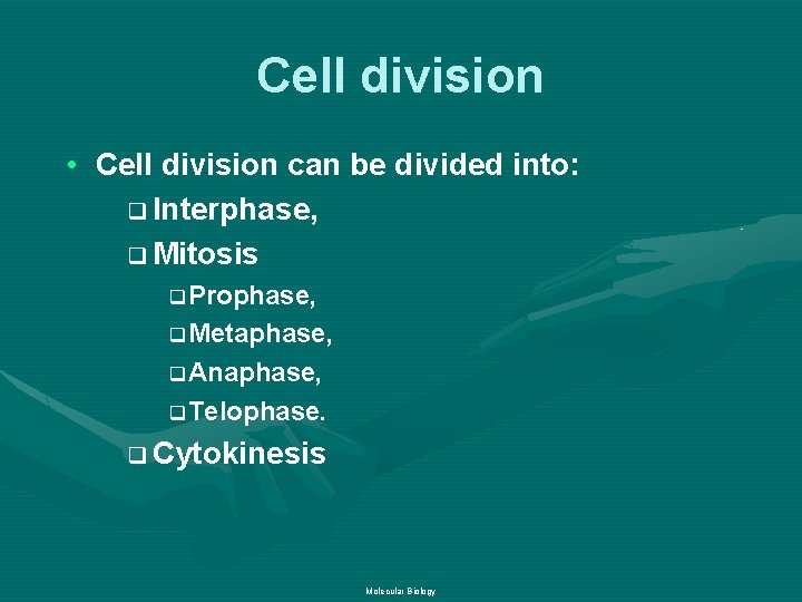 Cell division • Cell division can be divided into: q Interphase, q Mitosis q