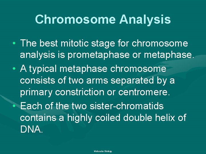 Chromosome Analysis • The best mitotic stage for chromosome analysis is prometaphase or metaphase.