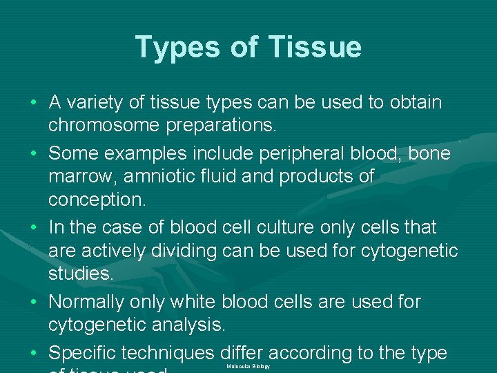 Types of Tissue • A variety of tissue types can be used to obtain