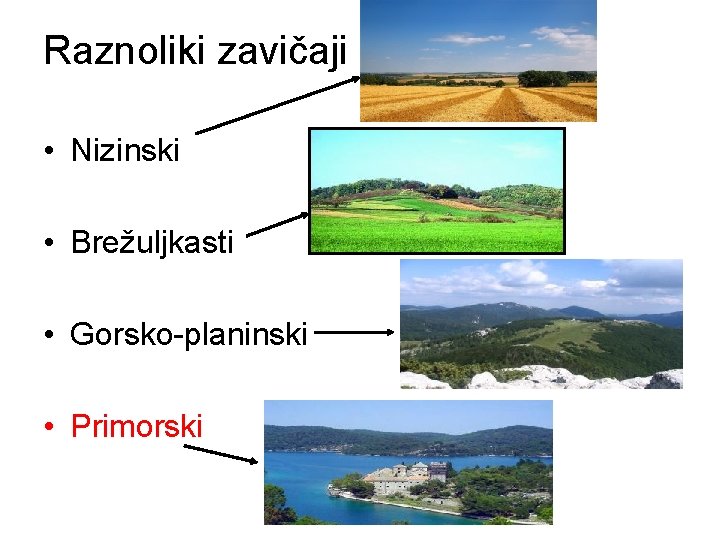 Raznoliki zavičaji • Nizinski • Brežuljkasti • Gorsko-planinski • Primorski 