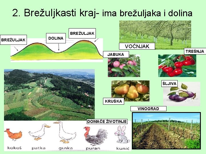 2. Brežuljkasti kraj- ima brežuljaka i dolina BREŽULJAK DOLINA VOĆNJAK TREŠNJA JABUKA ŠLJIVA KRUŠKA