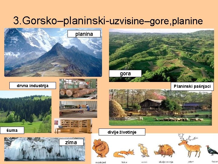 3. Gorsko–planinski-uzvisine–gore, planine planina gora drvna industrija Planinski pašnjaci šuma divlje životinje zima 