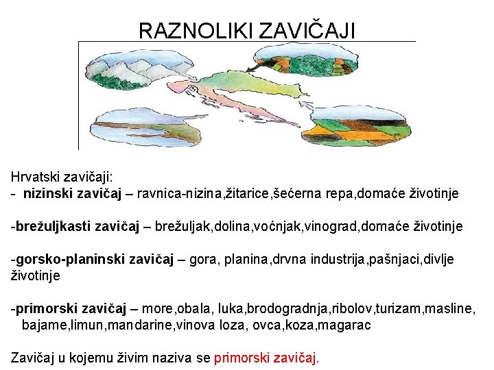 RAZNOLIKI ZAVIČAJI Hrvatski zavičaji: - nizinski zavičaj – ravnica-nizina, žitarice, šećerna repa, domaće životinje