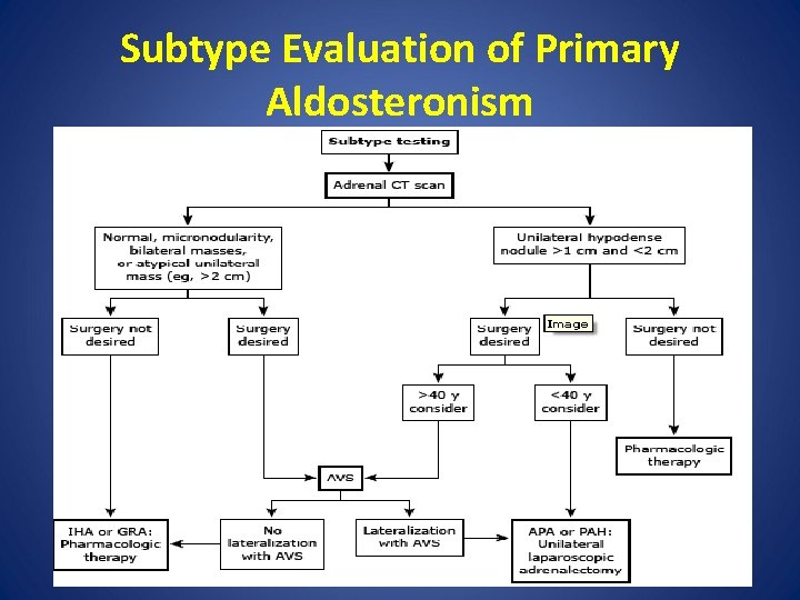 Subtype Evaluation of Primary Aldosteronism 