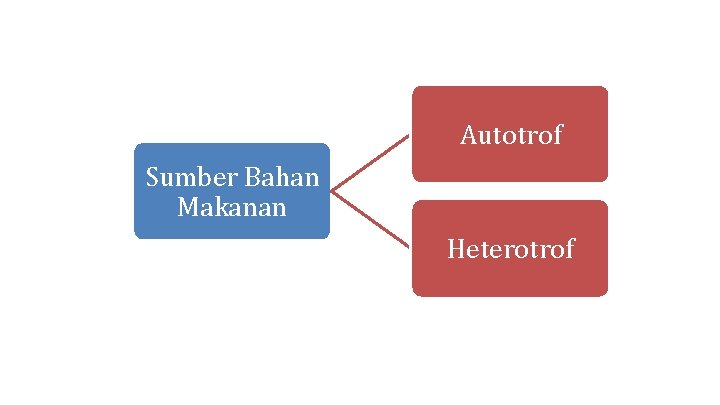 Autotrof Sumber Bahan Makanan Heterotrof 