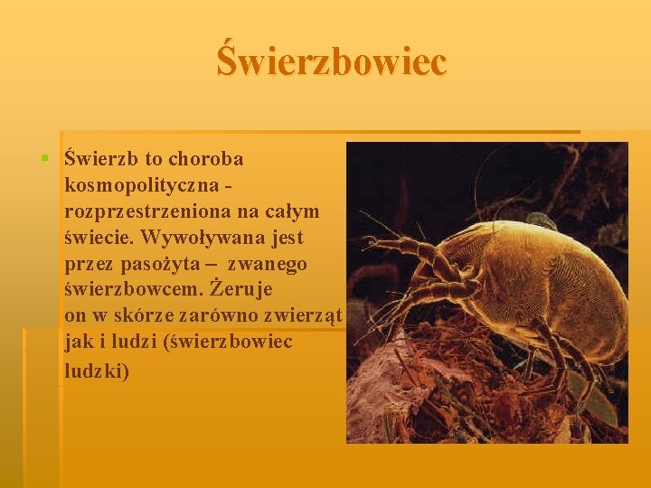 Świerzbowiec § Świerzb to choroba kosmopolityczna rozprzestrzeniona na całym świecie. Wywoływana jest przez pasożyta