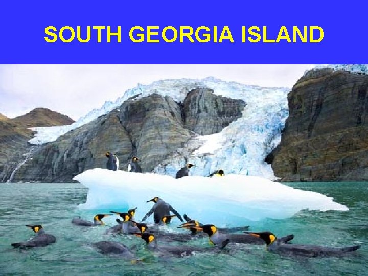 SOUTH GEORGIA ISLAND 