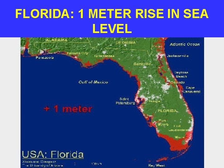 FLORIDA: 1 METER RISE IN SEA LEVEL 