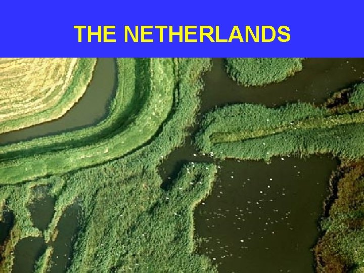 THE NETHERLANDS 