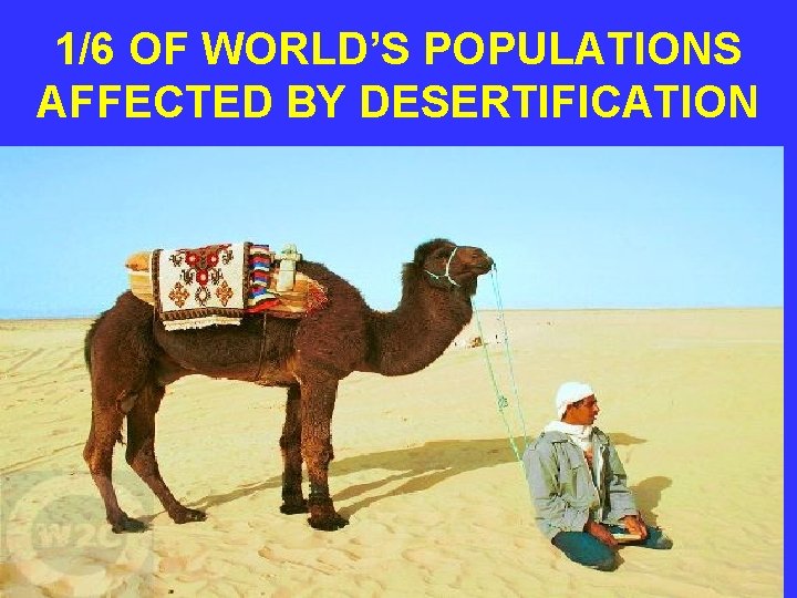 1/6 OF WORLD’S POPULATIONS AFFECTED BY DESERTIFICATION 