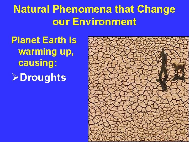 Natural Phenomena that Change our Environment Planet Earth is warming up, causing: ØDroughts 