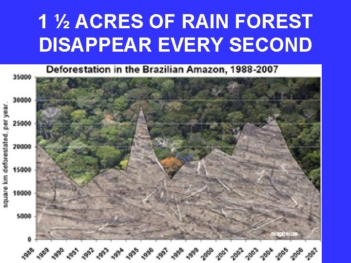 1 ½ ACRES OF RAIN FOREST DISAPPEAR EVERY SECOND 