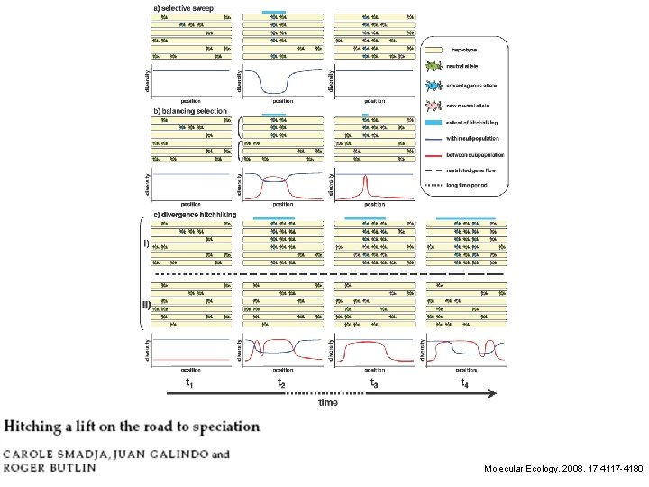 Molecular Ecology. 2008. 17: 4117 -4180 