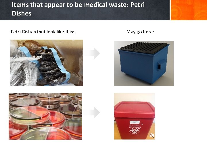 Items that appear to be medical waste: Petri Dishes that look like this: May