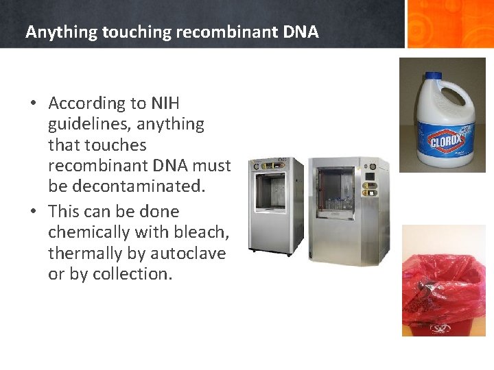 Anything touching recombinant DNA • According to NIH guidelines, anything that touches recombinant DNA
