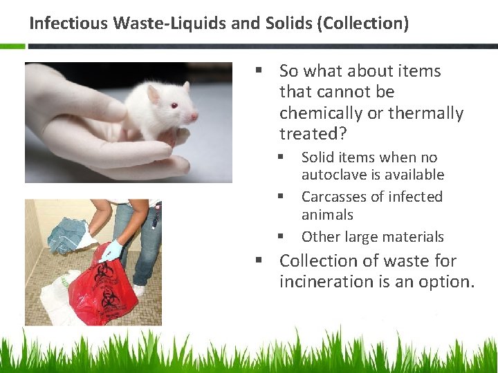 Infectious Waste-Liquids and Solids (Collection) § So what about items that cannot be chemically