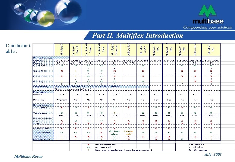 Part II. Multiflex Introduction Conclusiont able : Multibase Korea July 2002 