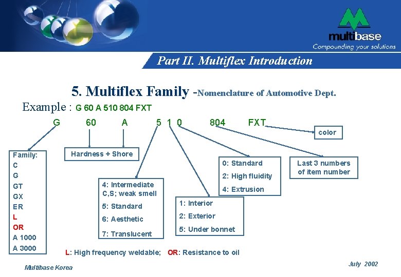 Part II. Multiflex Introduction 5. Multiflex Family -Nomenclature of Automotive Dept. Example : G Part II. Multiflex Introduction 5. Multiflex Family -Nomenclature of Automotive Dept. Example : G