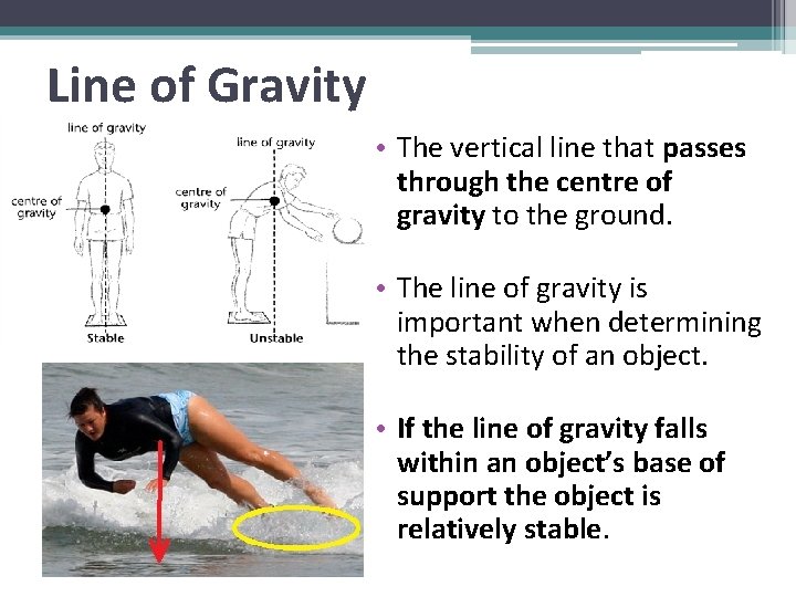 Line of Gravity • The vertical line that passes through the centre of gravity