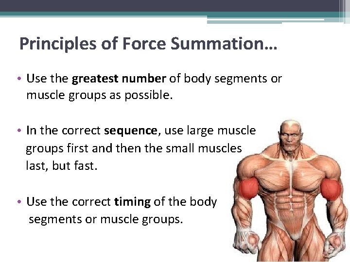 Principles of Force Summation… • Use the greatest number of body segments or muscle