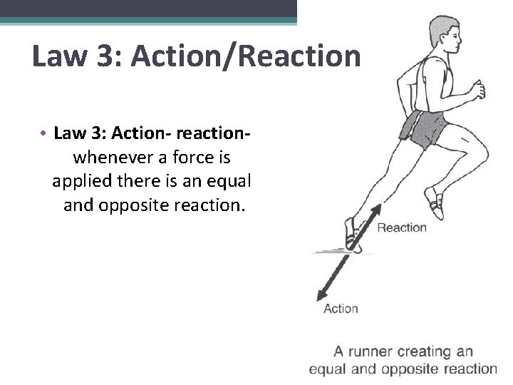 Law 3: Action/Reaction • Law 3: Action- reactionwhenever a force is applied there is