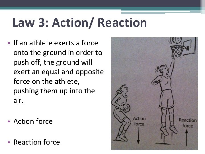Law 3: Action/ Reaction • If an athlete exerts a force onto the ground