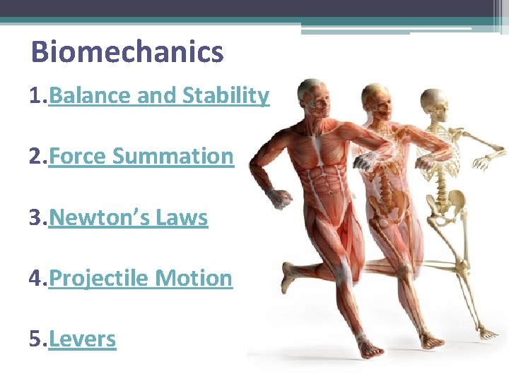 Biomechanics 1. Balance and Stability 2. Force Summation 3. Newton’s Laws 4. Projectile Motion