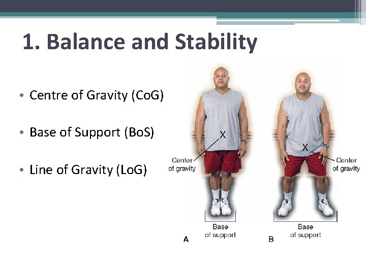 1. Balance and Stability • Centre of Gravity (Co. G) • Base of Support