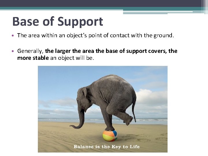 Base of Support • The area within an object’s point of contact with the