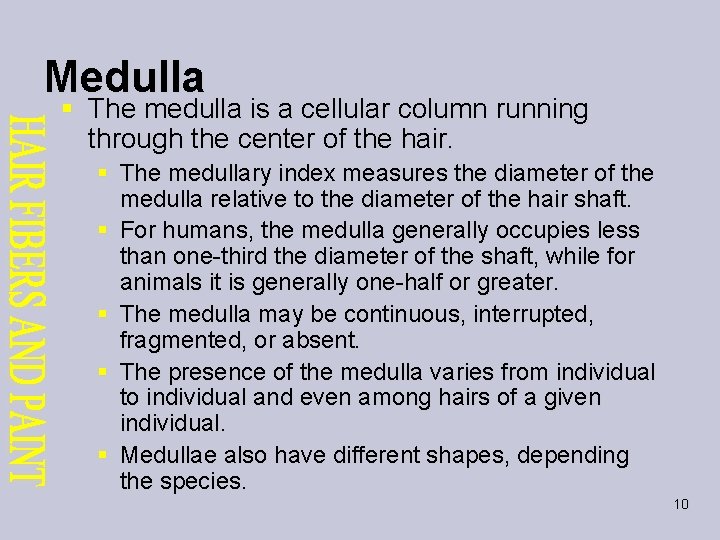 Medulla § The medulla is a cellular column running through the center of the