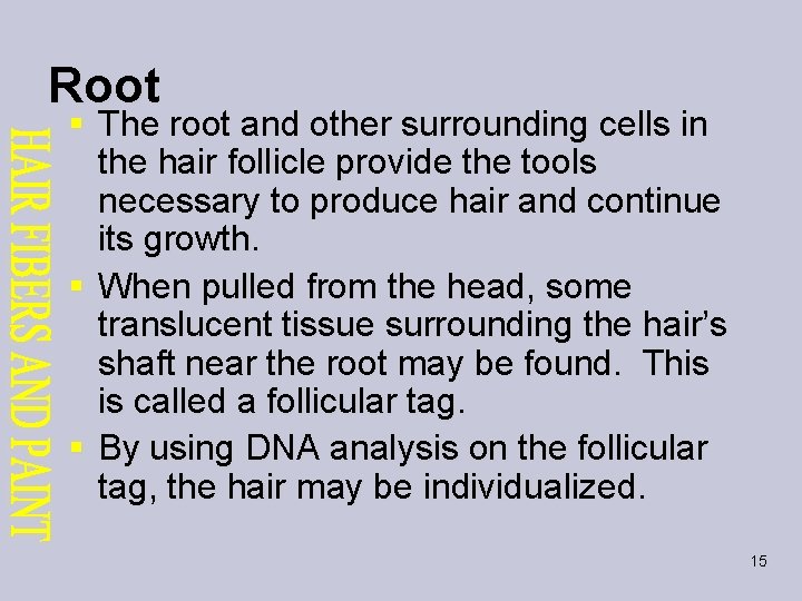 Root § The root and other surrounding cells in the hair follicle provide the