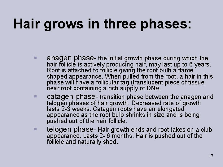 Hair grows in three phases: § § § anagen phase- the initial growth phase