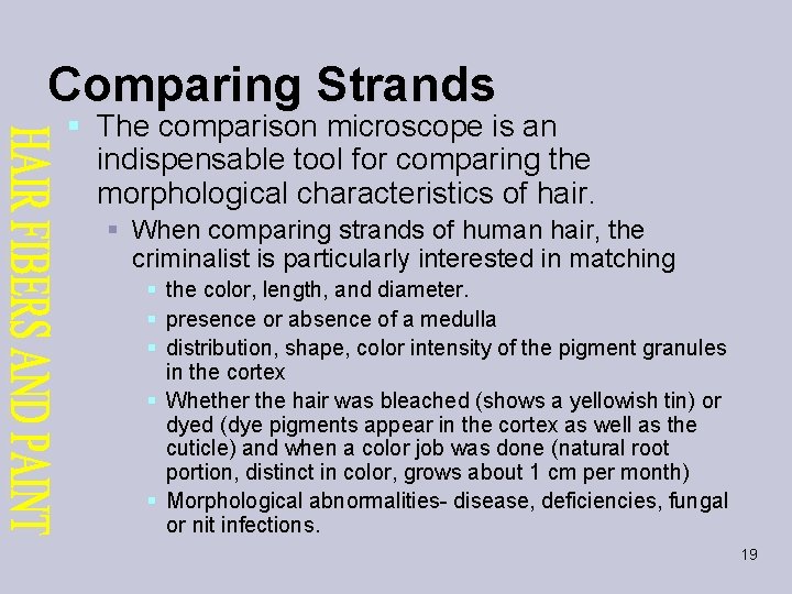 Comparing Strands § The comparison microscope is an indispensable tool for comparing the morphological