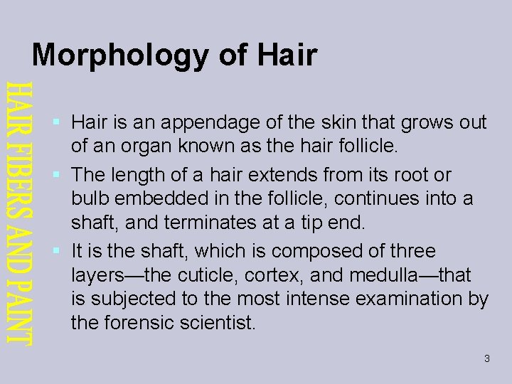 Morphology of Hair § Hair is an appendage of the skin that grows out