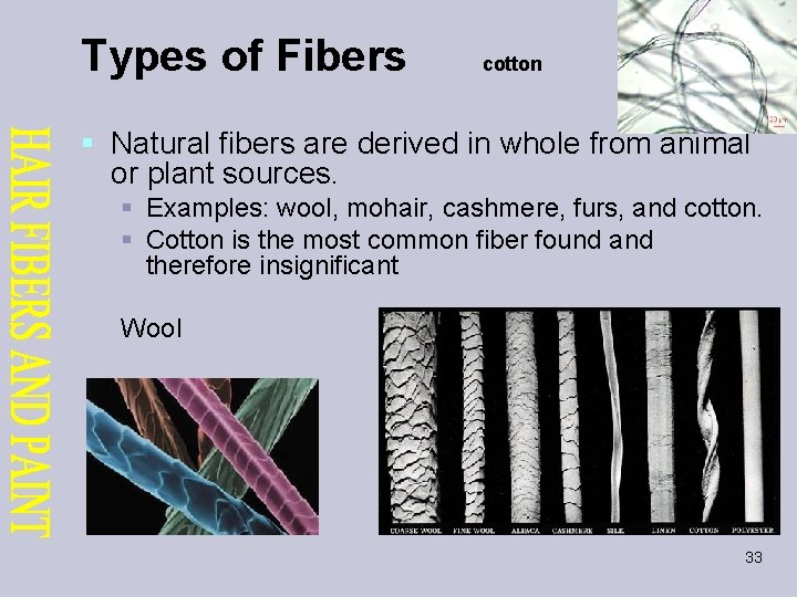 Types of Fibers cotton § Natural fibers are derived in whole from animal or