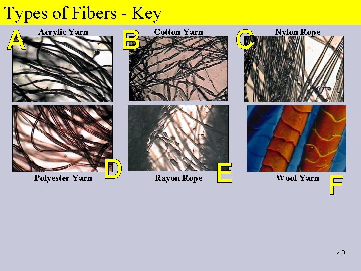 Types of Fibers - Key A Acrylic Yarn Polyester Yarn B D C Cotton