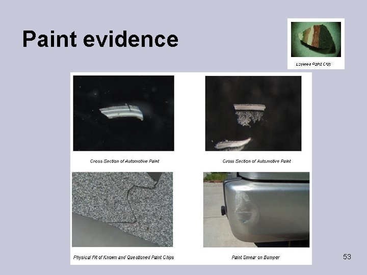 Paint evidence 53 