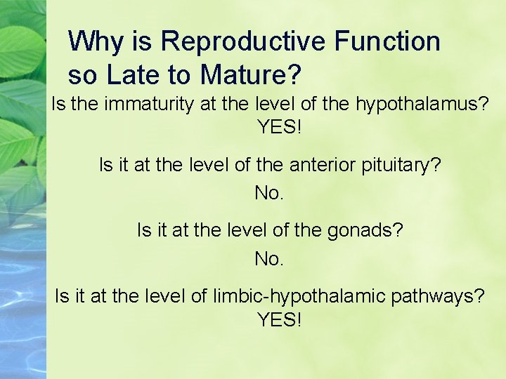 Why is Reproductive Function so Late to Mature? Is the immaturity at the level