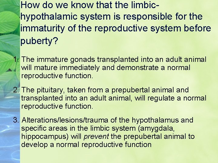 How do we know that the limbichypothalamic system is responsible for the immaturity of