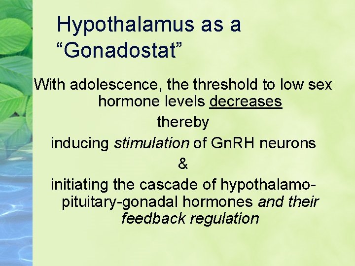 Hypothalamus as a “Gonadostat” With adolescence, the threshold to low sex hormone levels decreases