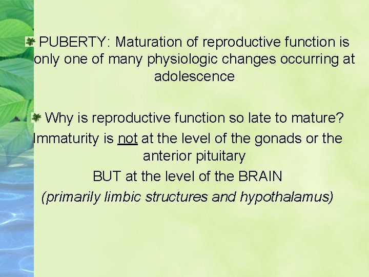 PUBERTY: Maturation of reproductive function is only one of many physiologic changes occurring at